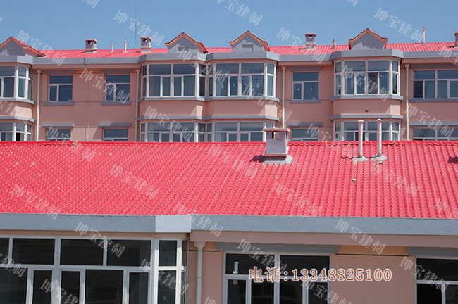 廣東平改坡工程